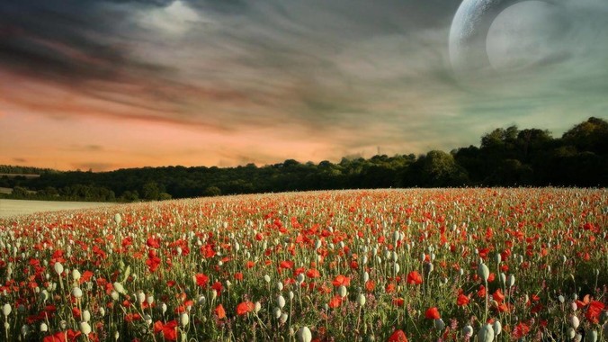 外包是一种什么体验?